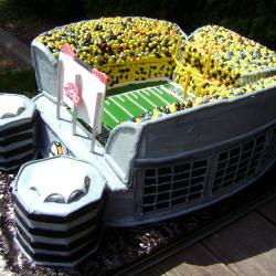 Groom's Cake 3- Heinz Field