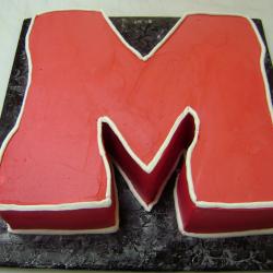 Groom's Cake 11- Miami University M