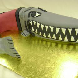 Groom's Cake 14- Muskingham Muskie