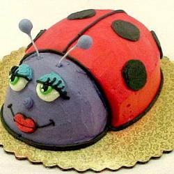 Shaped 143- Lady Bug