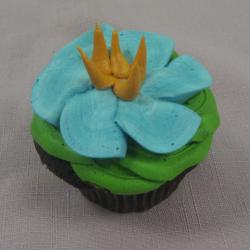 Cupcake 28