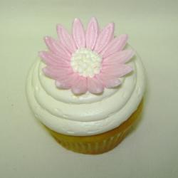 Cupcake 30