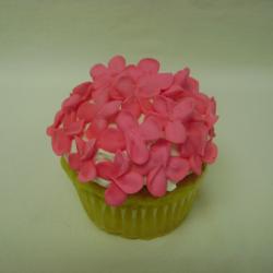 Cupcake 37