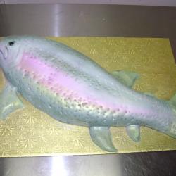 Groom's Cake 39- Rainbow Trout