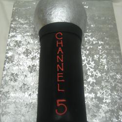 Groom's Cake 65- Microphone